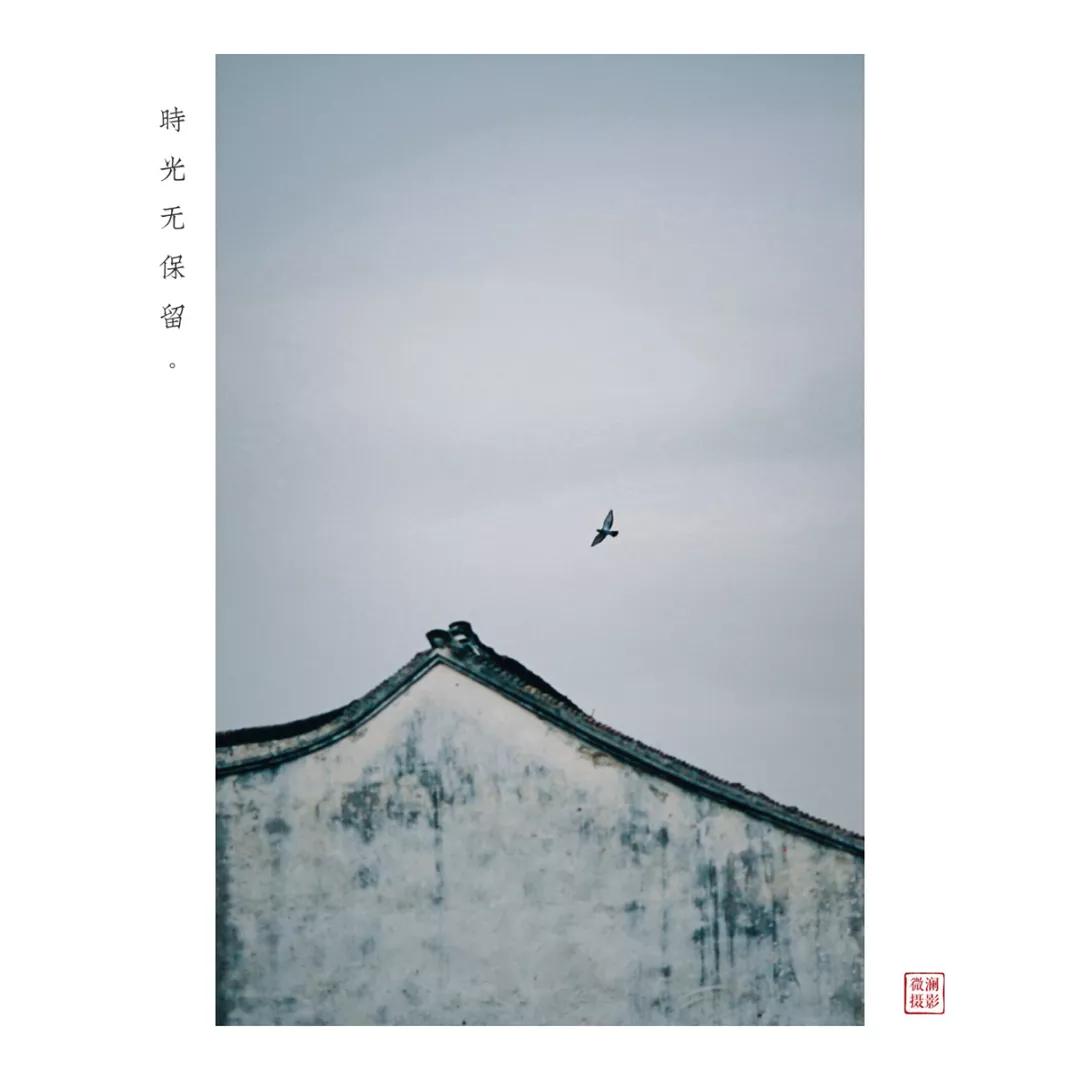 苏州园林静谧之美,苏州小众园林