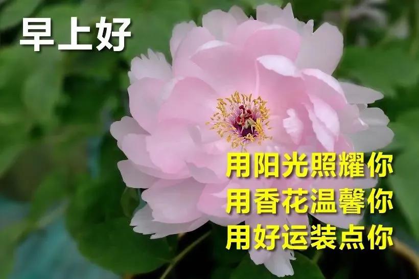 早安佛祖祝福带字美图,最新早安带字祝福图片