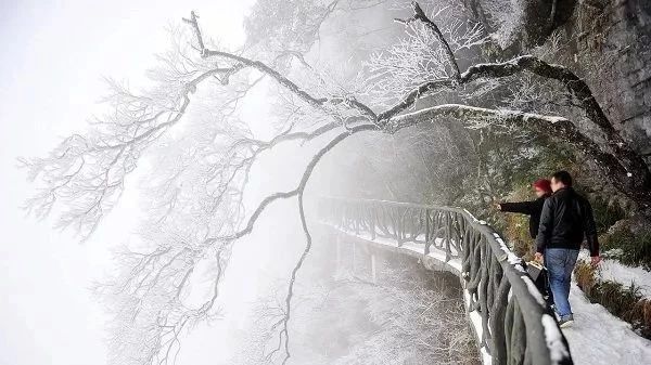 冬天去张家界好吗,张家界冬天去危险吗