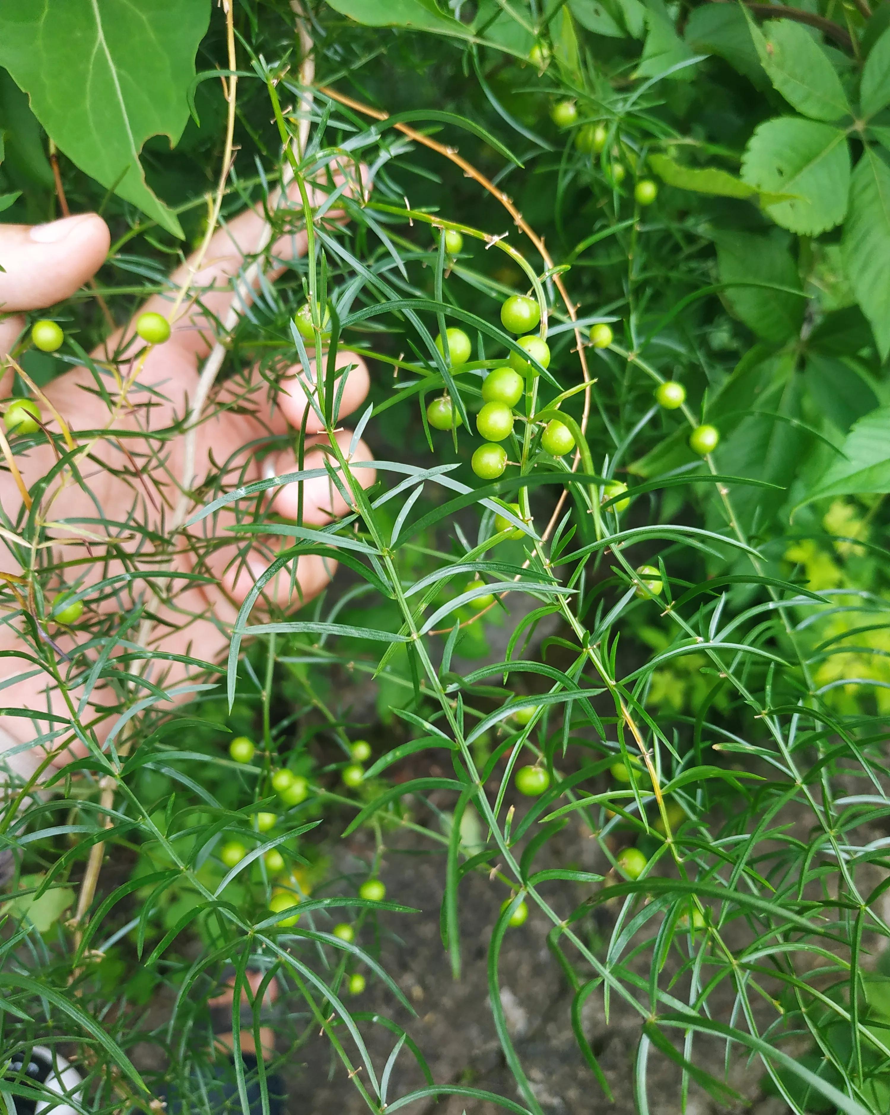 新田航拍全景视频,永州白米寨