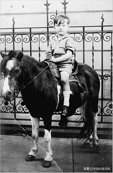 讲解漫威的视频,0分钟带你读懂漫威