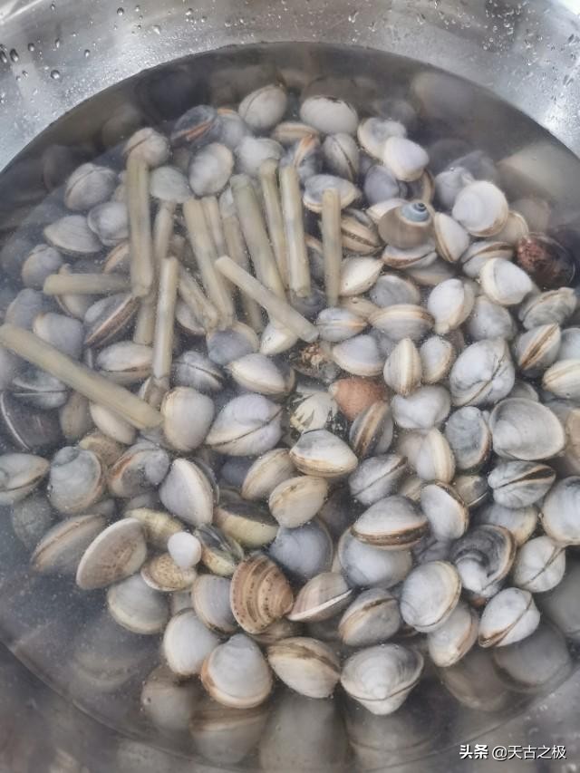 青岛赶海旅游攻略必去景点,青岛哪里有好玩的沙滩能赶海