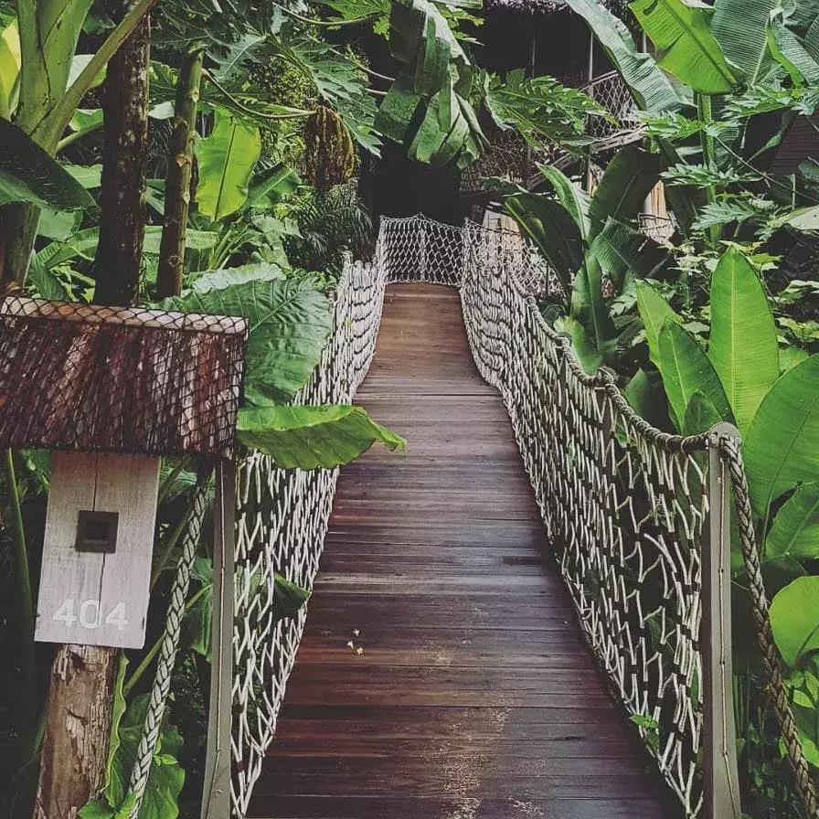 泰国野奢酒店,泰国奢享酒店