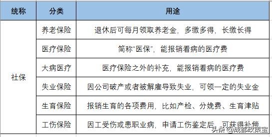 五险一金社保缴费有哪些项目,常说的五险一金社保具体是什么