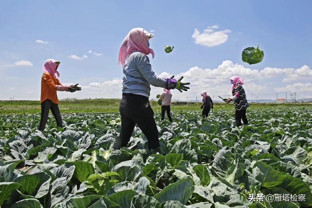 回顾脱贫攻坚波澜壮阔的伟大历程,彪炳史册的伟大奇迹全文
