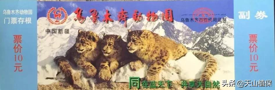 乌鲁木齐90后的南门回忆,乌鲁木齐人民公园记忆