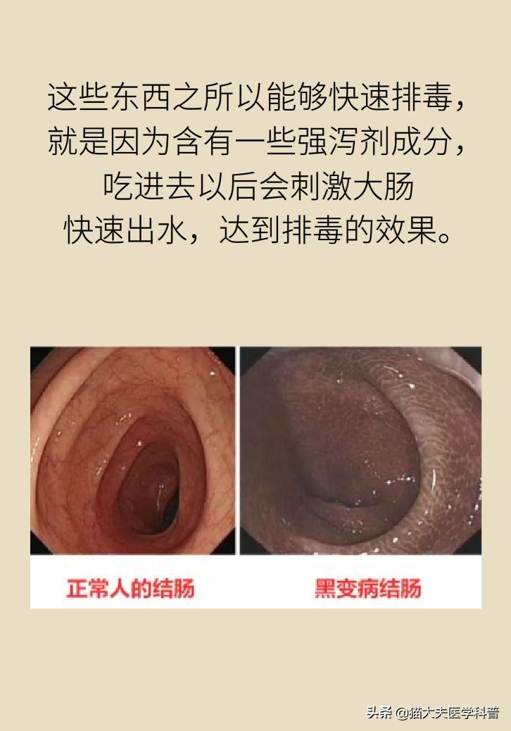 喝润肠通便茶竟然便秘,便秘清肠道排毒中药茶