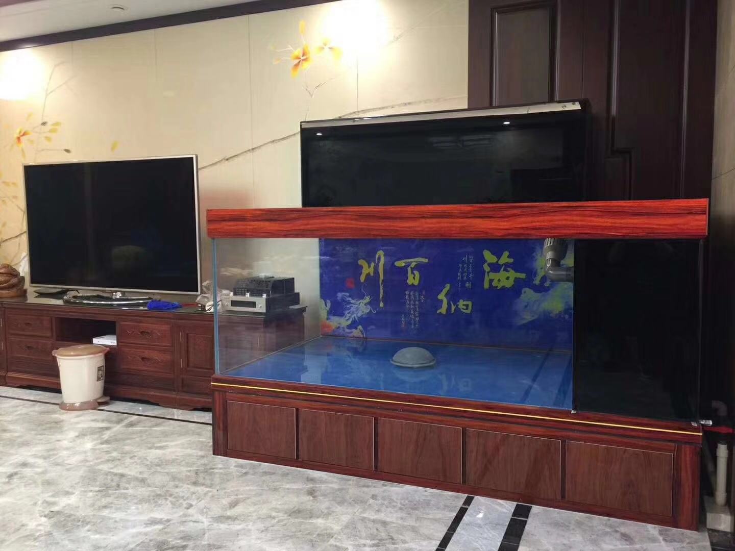 渔友张哥小视频,新鱼缸养锦鲤鱼正确的方法和技巧