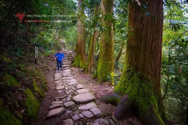 天目山斐文禅意酒店,天目山上客堂酒店斐文野奢民宿