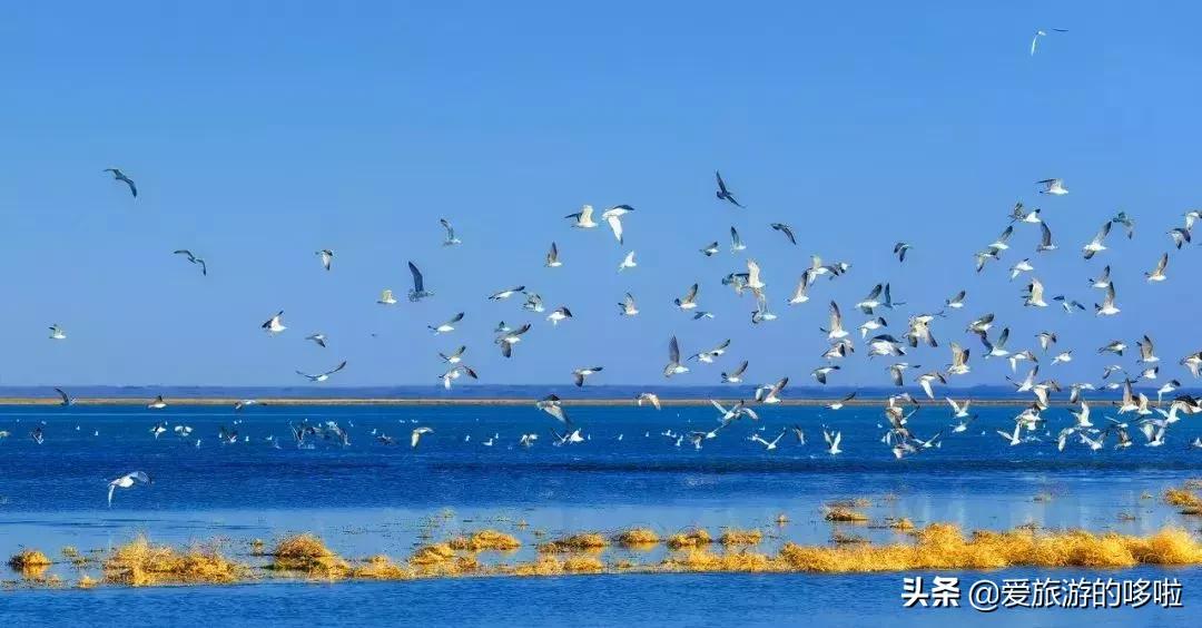 中国最美十大自驾线路,中国最美的七条自驾游路线