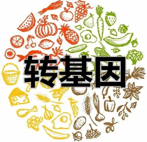 月子的人吃公鸡好还是母鸡好,产后第一天吃公鸡有什么好处