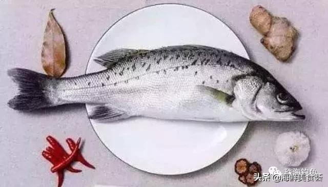 广东海鲜美食推荐,珠海市香洲区海鲜美食好店推荐