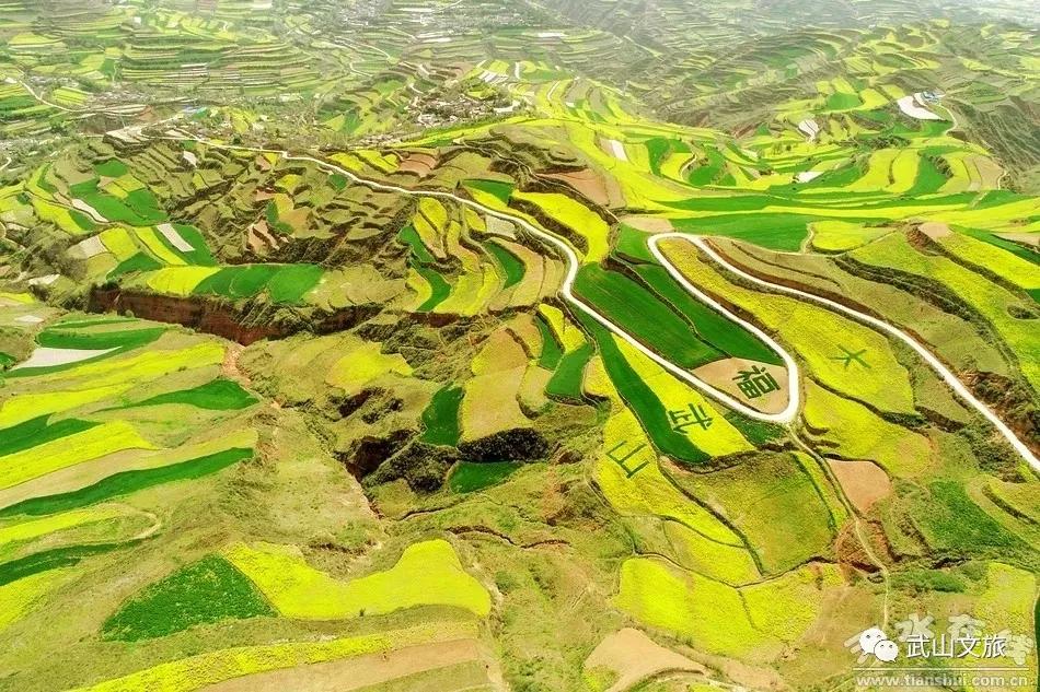 武山文旅局汇演,武山文旅助力天水视频