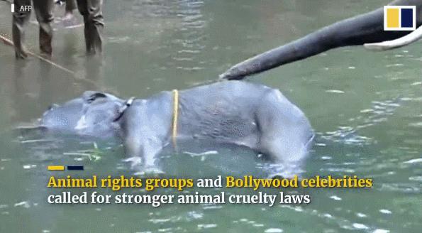 15岁怀孕的她，被骗吃下*药炸**，无辜去世：生而为人，有些人却不配