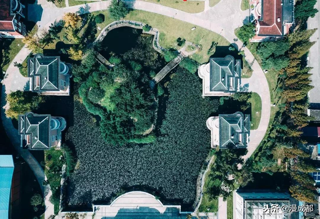 成都最美的校园,成都最美的大学校园