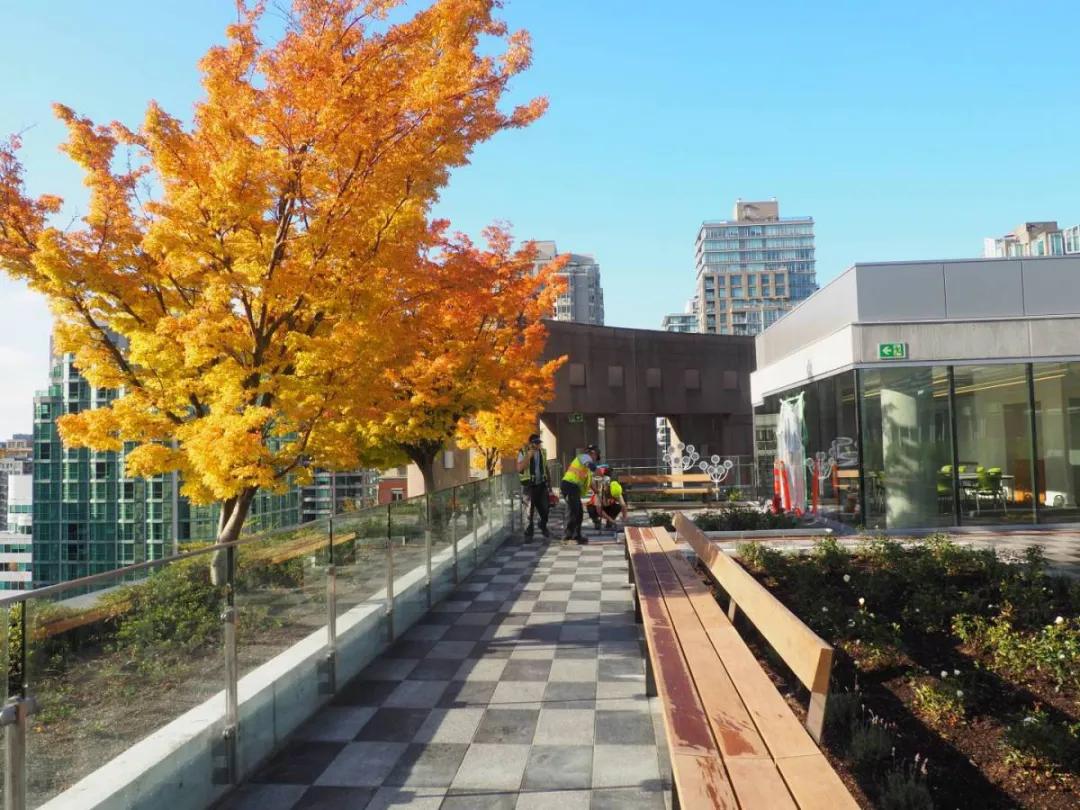 又一巨星陨落享年94岁,又一代巨星的陨落