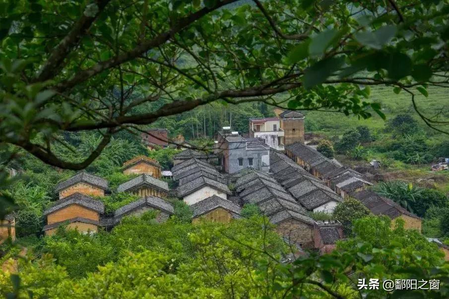 甯備簳椋庢儏杩樻槸甯備簳椋庡厜,甯備簳姘旀伅椋庢櫙