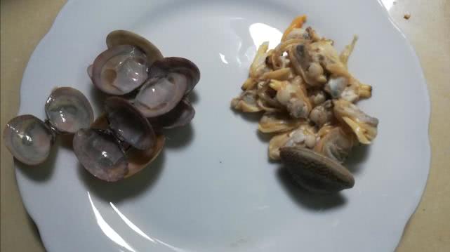 鲜美花蛤即食,好吃美味的花蛤