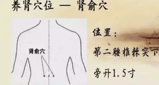 疏通经络穴位推拿,经络穴位推拿