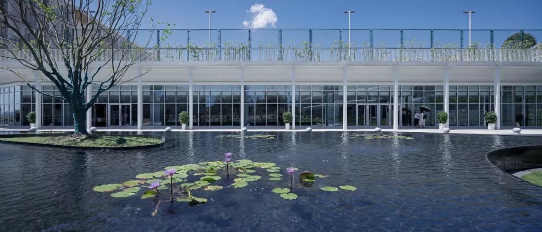 重庆南开两江学校图片,重庆两江中学学校环境