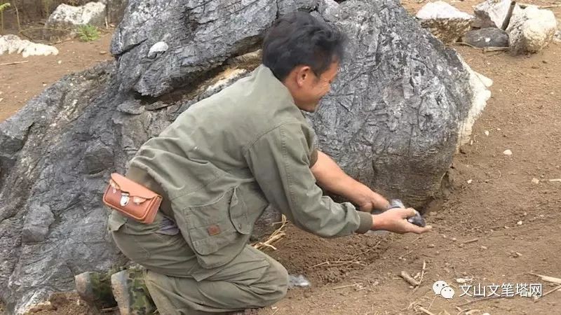 「笔塔热点」丘北1村民租地养兔探出致富路，年入30多万