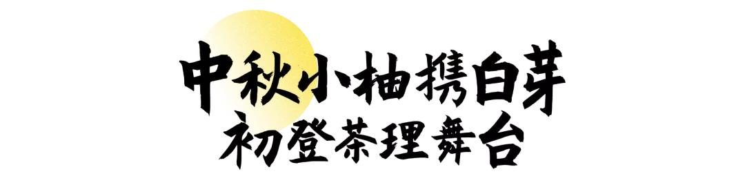 茶理宜世港式奶茶,茶理宜世奶茶推荐