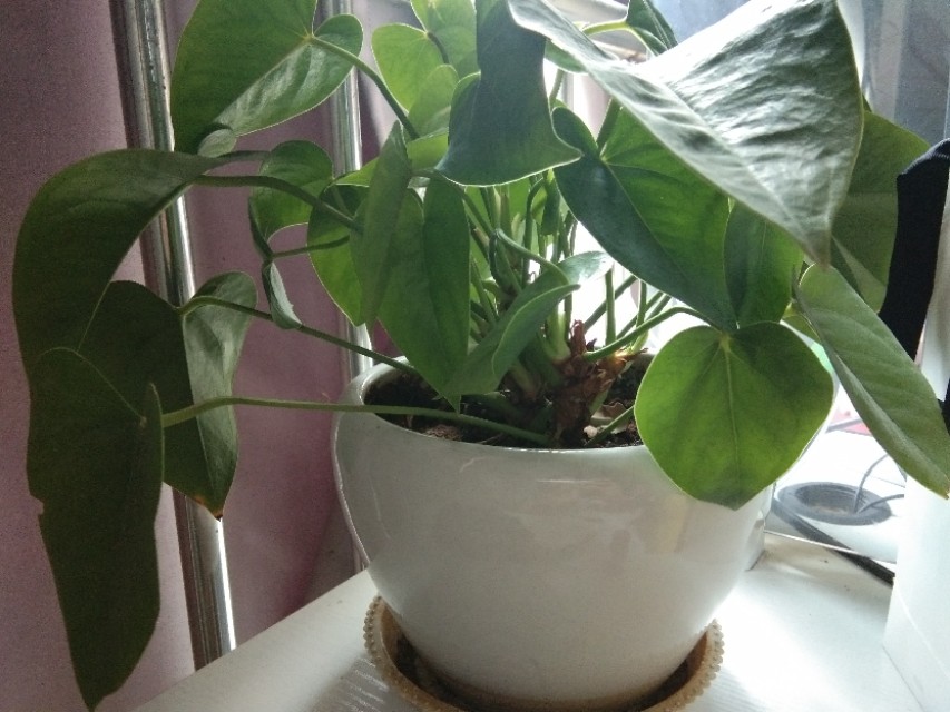 人怎么面对自己的挫败感,如何克服失望挫败感