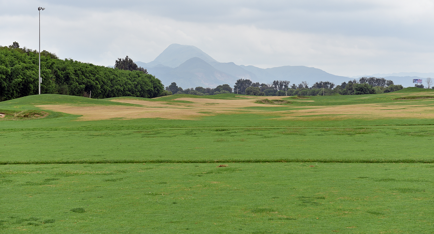 昆明薰衣草花海,昆明紫色花海旅游攻略
