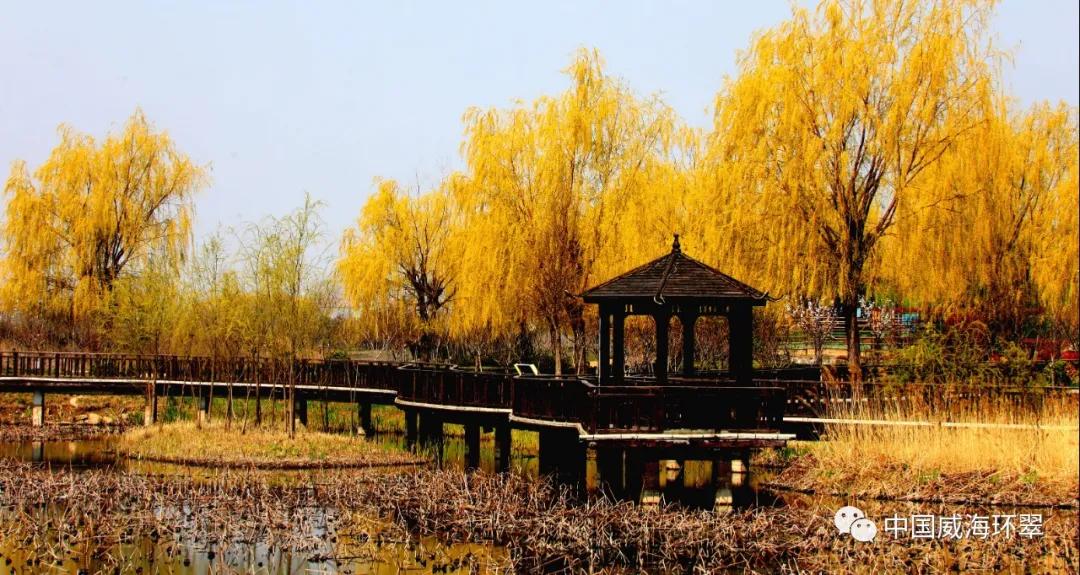 环翠公园美景,走进春天的环翠公园