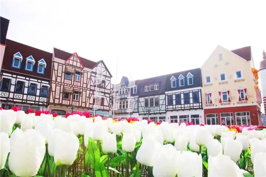 去哪里可以买到进口正品,去哪里买进口商品比较好