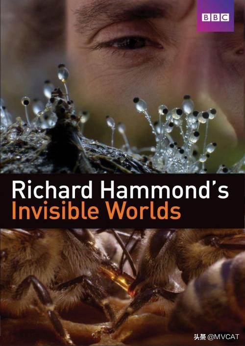 500部自然纪录片,最好看的自然纪录片