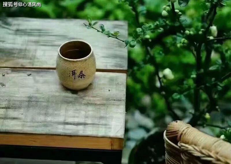 散文岁月因生命的淡然而静美,散文一颗纯净自我的心