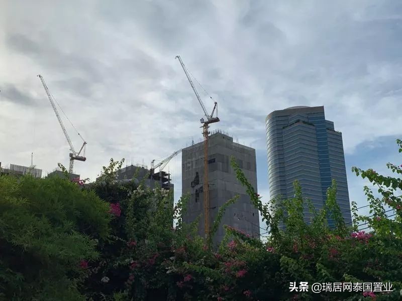 瑞居网最新消息,瑞居网