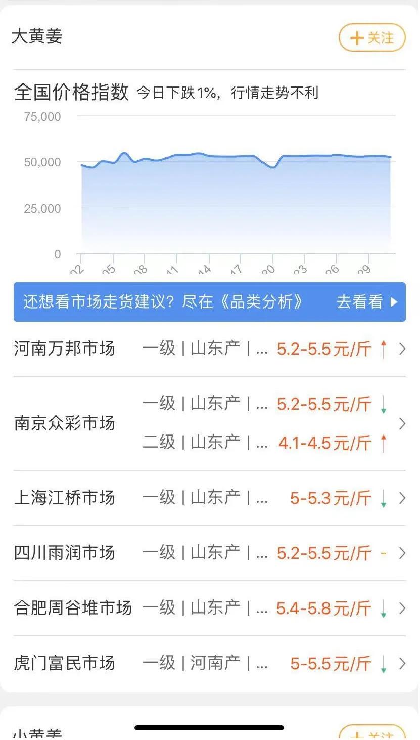 姜价上涨原因,姜价格上涨还是下跌