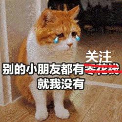 猫咪拉便便总弄到毛上怎么办,猫咪为什么突然到处乱拉便便