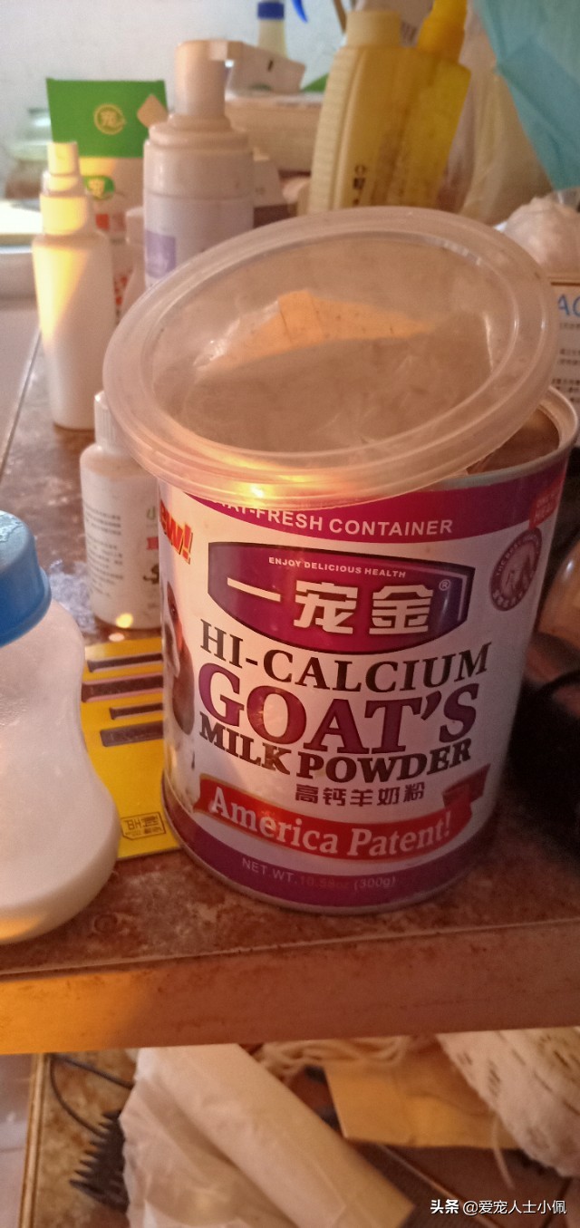 在农村捡到一只小奶猫怎样养活,在农村如何捡到小奶猫小狗