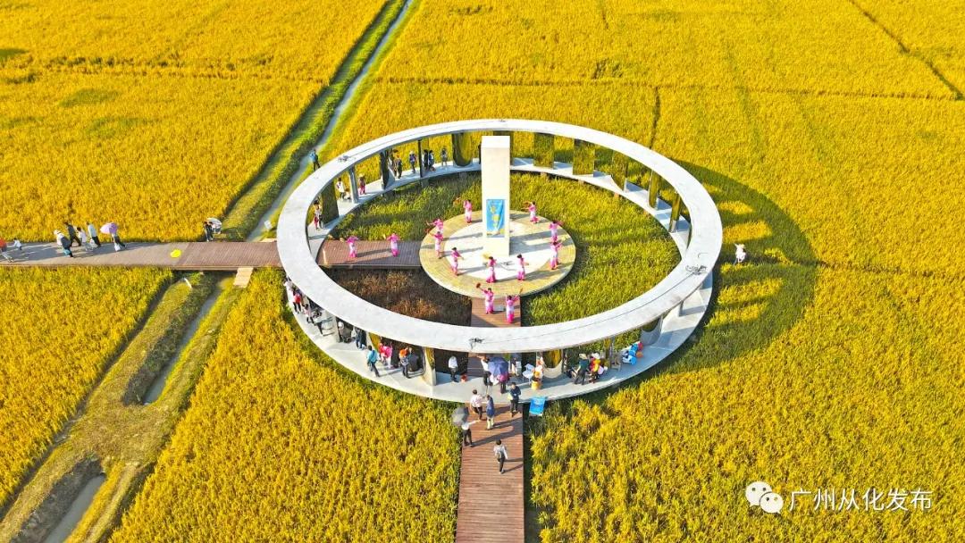 楂樻牎瀛︾敓鐪间腑鐨勫叡闈掑洟,楂樻牎鐢熺溂涓殑鏃朵唬鍙樿縼