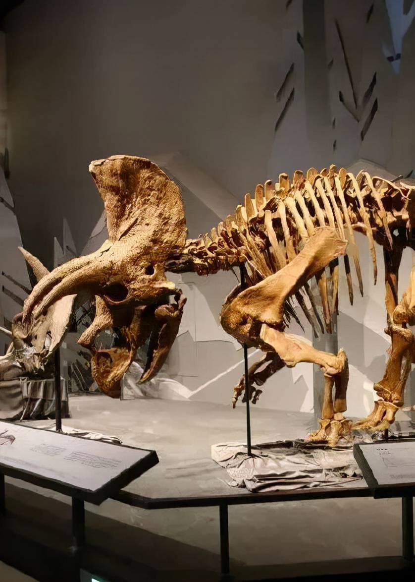 帷思特tch舒适家旗舰店直播,帷思特tch无锡店