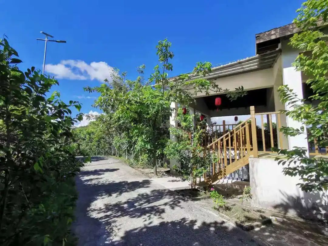 琼中秋之韵山水民宿,琼中蜜柚山庄民宿