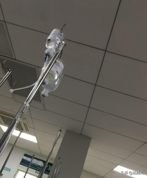 2020年属鼠84年本命年要注意什么,2020年属鼠的本命年应该注意什么