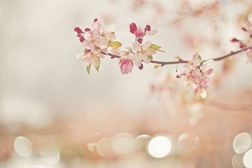 如何把握好与异性的朋友关系,如何正确与闺蜜男友保持距离