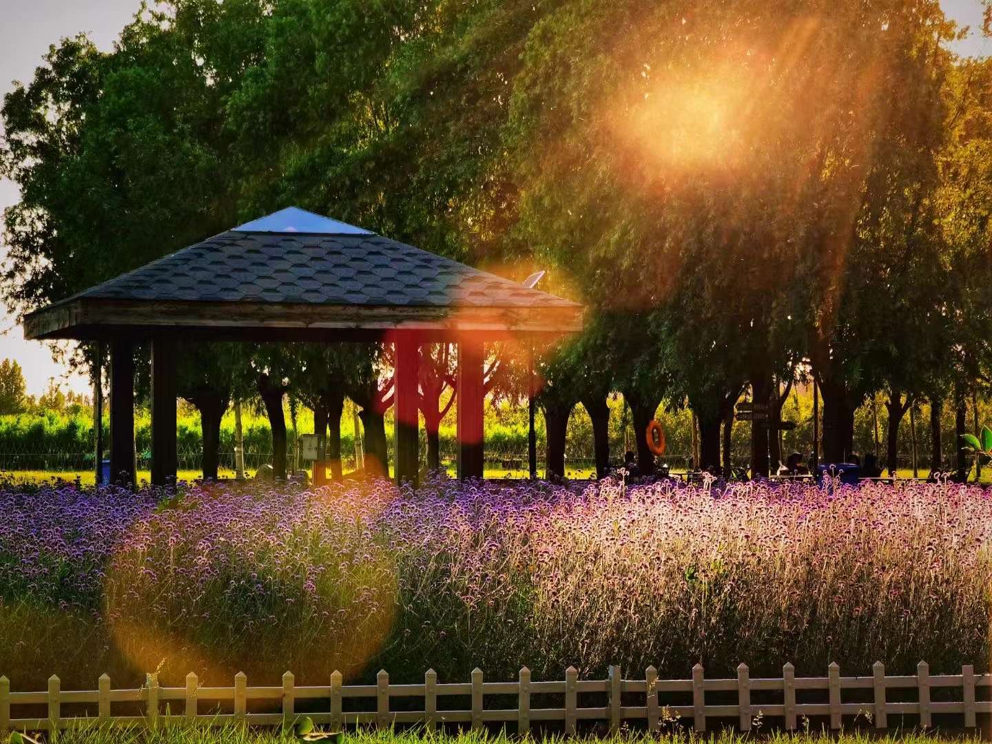 香河大爱城值不值得养老,香河大爱养老院