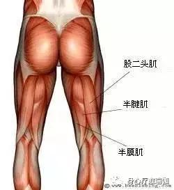 瑜伽半莲花盘坐方式,瑜伽莲花盘坐脚踝很疼