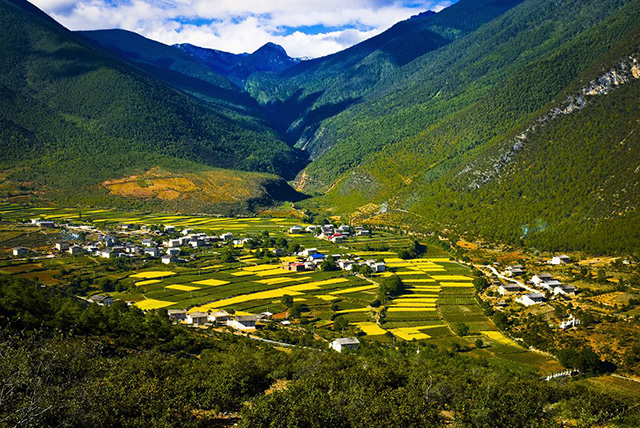 茶马古道为什么在古代那么重要,茶马古道对民族发展带来了什么