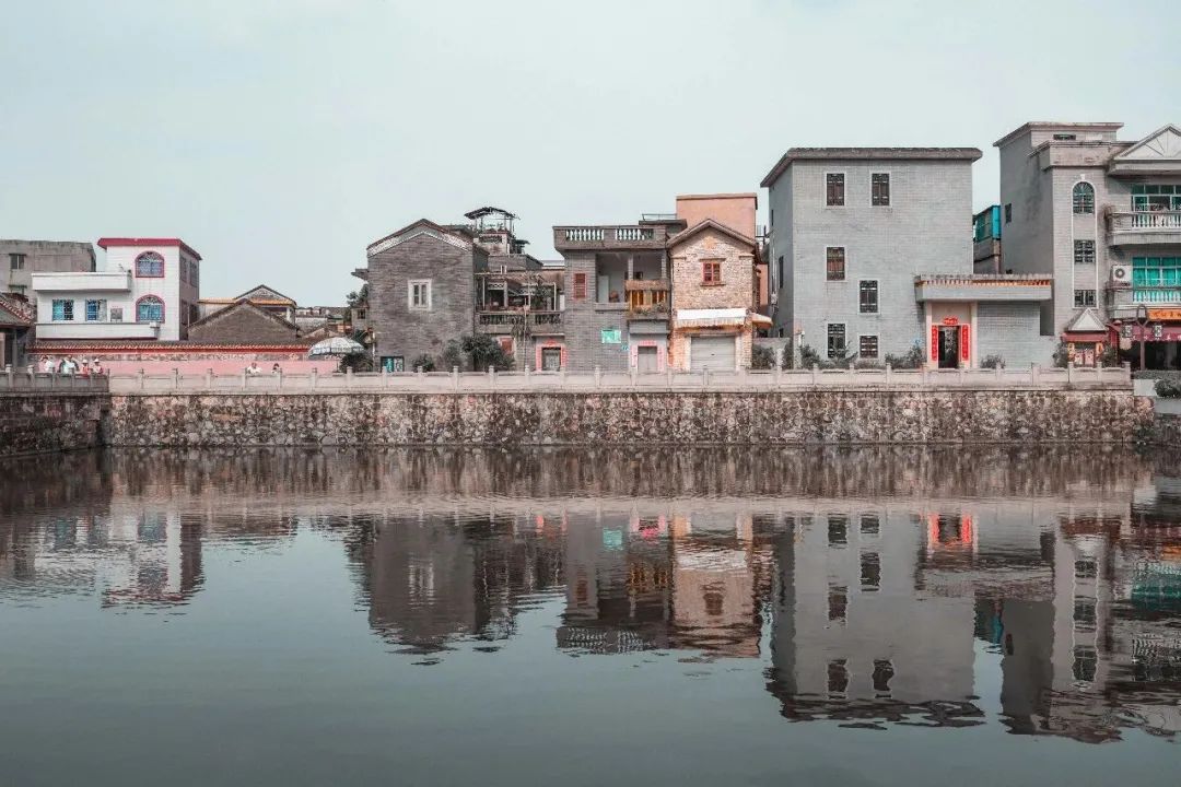 广东高职高考看院校,广州番禺高职高考有什么专业