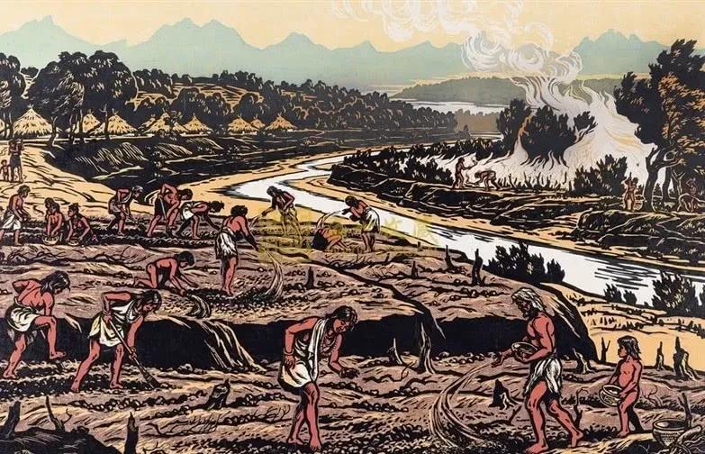 籍贯祖籍故里出生地如何区分,籍贯应该填写出生地还是祖籍