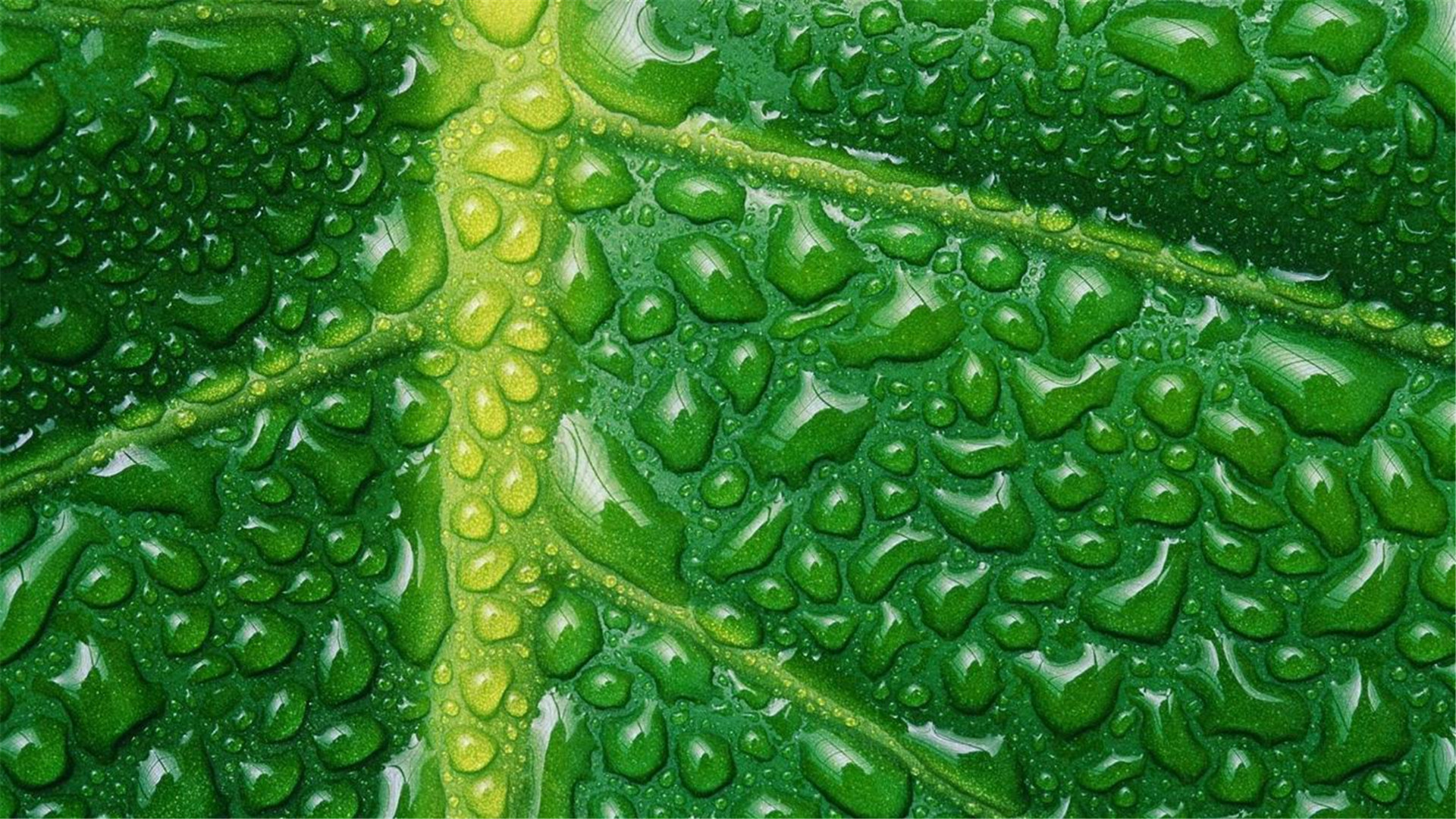 蓝色护眼壁纸唯美图片,最美的护眼桌面壁纸