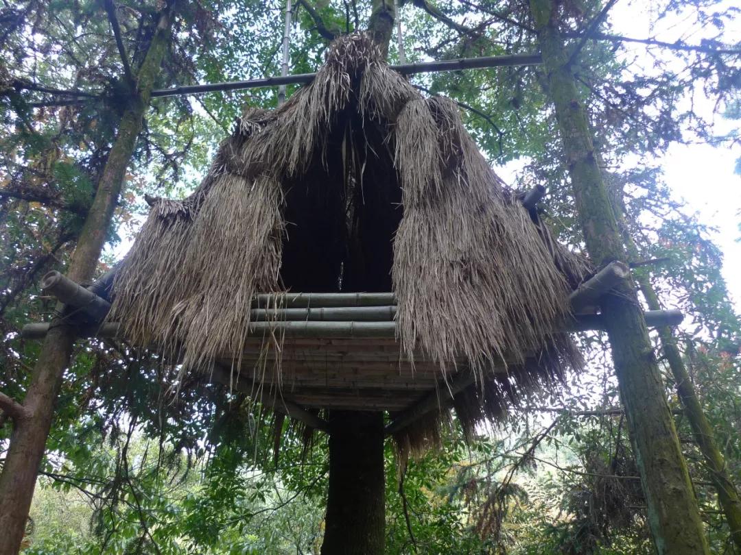 有玩有吃的礼物,有玩有吃的旅游景点