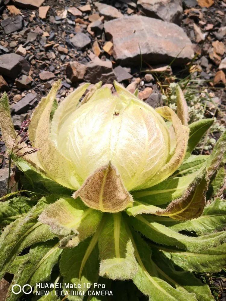 传说中的天狼之路，是否值得一走？