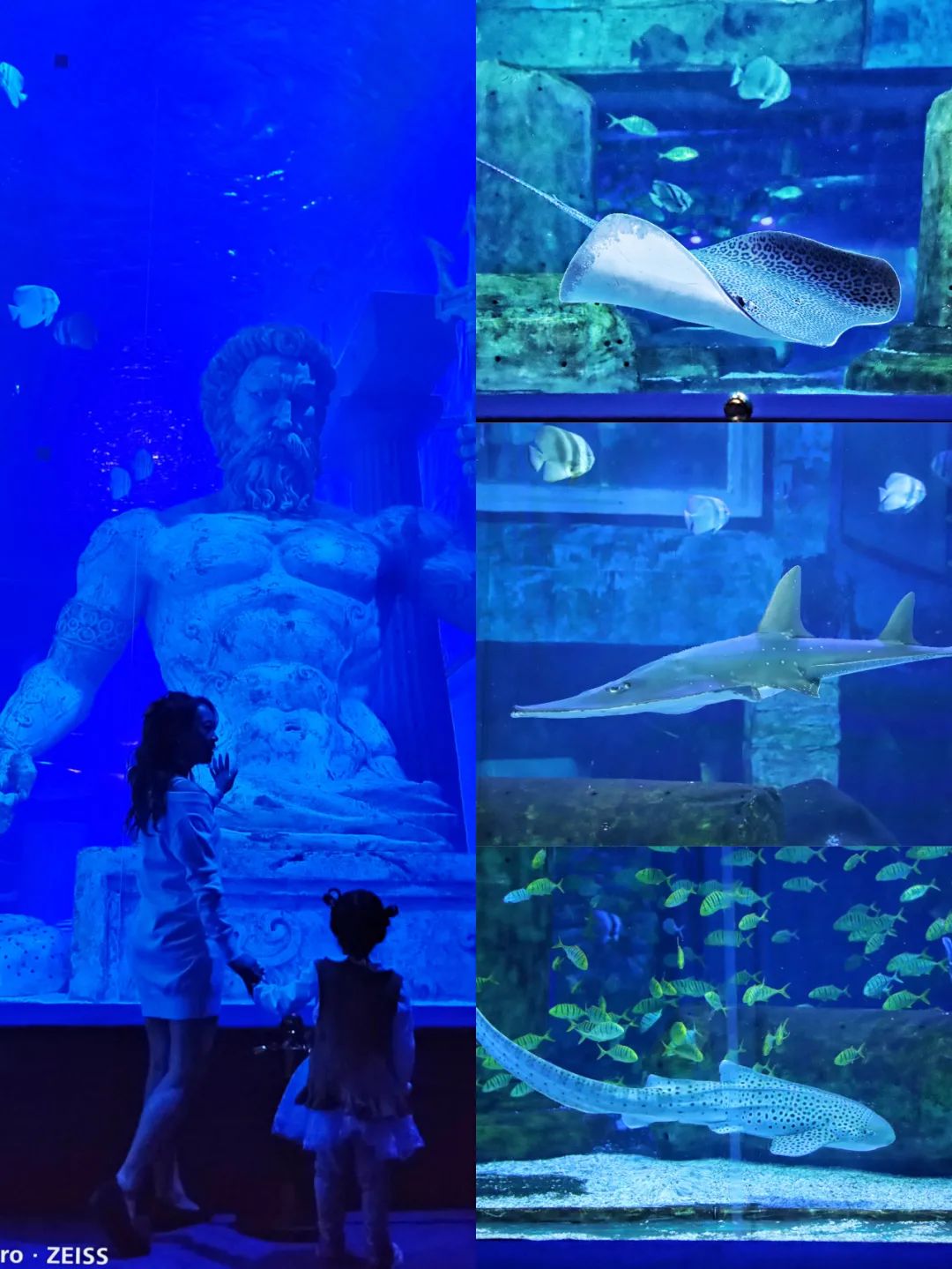 开启非凡住宿万豪旅享家,万豪旅享家邂逅城市五星级酒店